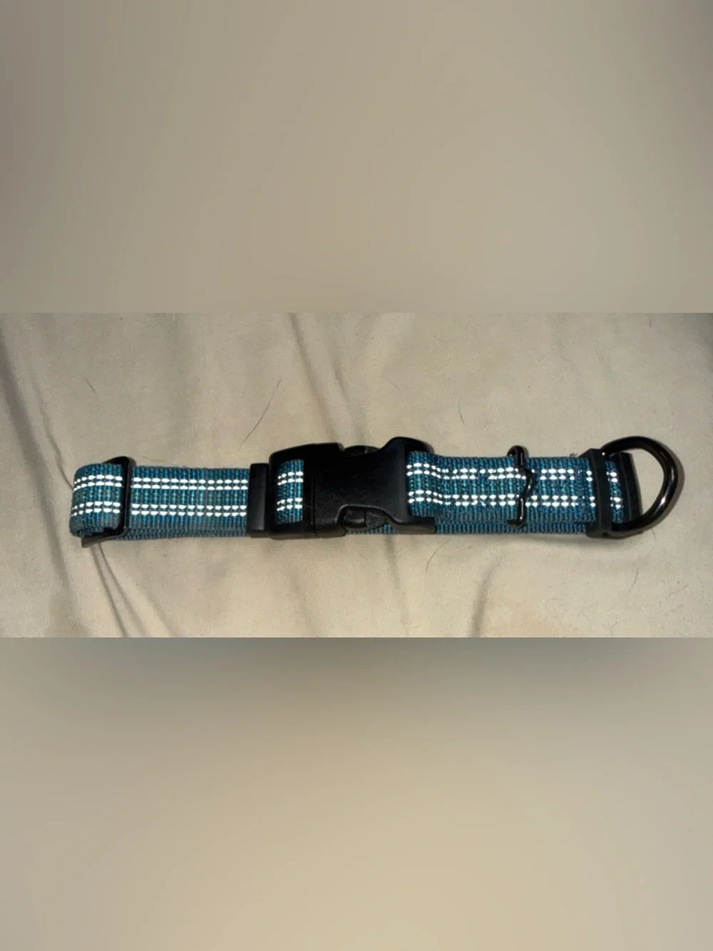 Teal Reflective Adjustable Dog Collar with Quick-Release Buckle heavy duty